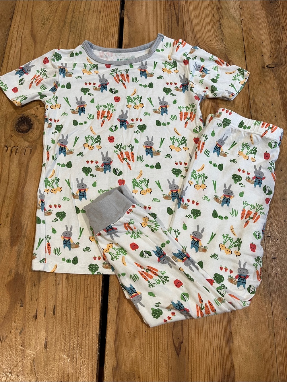 Set/2 MAGNETIC ME 2T Bunny Veggie Print Bamboo Pajamas SS Pants